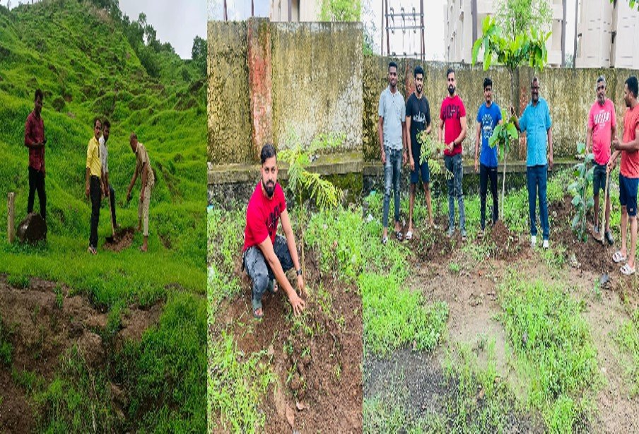 वृक्षारोपण